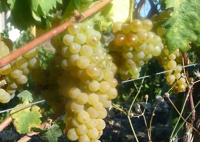 Feriegård Ca Dei Conti