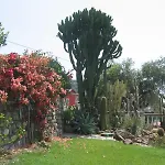 Farmház Ca Dei Conti