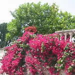 Ca Dei Conti Lantgård *