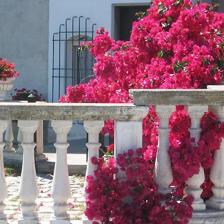 Ca Dei Conti Bauernhof *